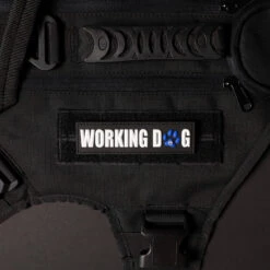 Working Dog W/ Blue Paw