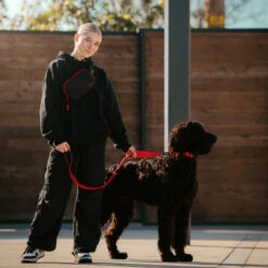 Tactical Nylon Dog Collar Elite Red 15 Tactical Nylon Dog Collar Elite Red -Urban Carry Store 2659C72E C899 4F4B 8A0A 98028F227B31