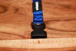 Adjustable Nylon Dog Collar Champion Blue -Urban Carry Store 2684146E FEF5 49F0 88FA DCB8CA575C09