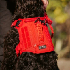 Elite Red Tactical Dog Vest Harness -Urban Carry Store 3136202E E480 461D 98A5 C0E3C449D82A
