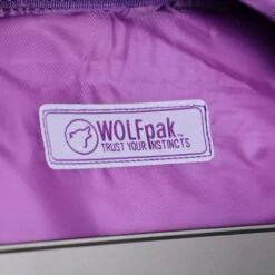 35L Backpack Ice -Urban Carry Store 3E742564 4518 4EB0 8810 5305E30FA754