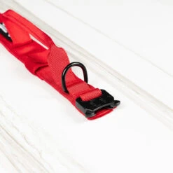 Tactical Nylon Dog Collar Elite Red 16 Tactical Nylon Dog Collar Elite Red -Urban Carry Store 45F48F83 F669 4028 BDA3 26952D0FAACE