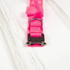 Tactical Nylon Dog Collar Pink Goddess -Urban Carry Store 485F9013 D216 4207 A535 68686A037852