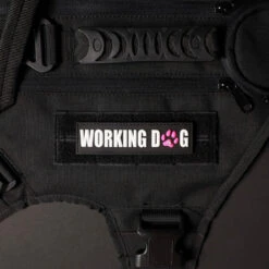 Working Dog W/ Pink Paw