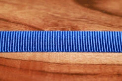 Adjustable Nylon Dog Collar Champion Blue -Urban Carry Store 6E7134D5 EFC2 4FB4 A796 006F762B3AD2