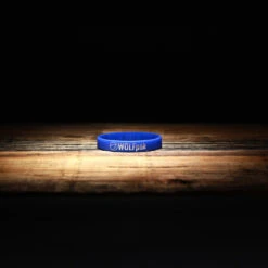 Motivational Wristband Bracelet Put In The Work