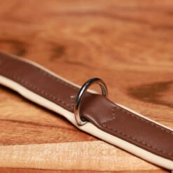 Luxury Dog Collar Sepia Brown & Neutral -Urban Carry Store 87FCAD86 56BF 4899 B147 CC180F12815B