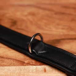 Luxury Dog Collar Alpha Black 9 Luxury Dog Collar Alpha Black -Urban Carry Store A35B9598 9649 49FC 97E5 3F630277C950