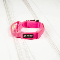 Tactical Nylon Dog Collar Pink Goddess -Urban Carry Store A94D3DB8 5BB5 47F3 8A3D 6D0AEDE3563D