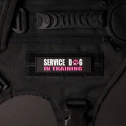 Service Dog In Training W/ Pink Paw