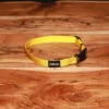 Adjustable Nylon Dog Collar Sunkiss Yellow -Urban Carry Store D282EBAC DB11 4142 93DA 34EC79BAE74C
