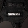 Therapy Dog -Urban Carry Store EBD34792 7157 4494 90FF 73CBE56A1FAB